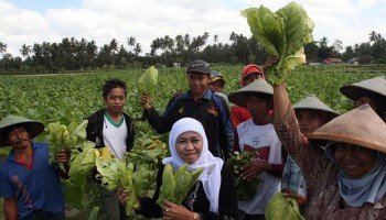 napas-rokok-dalam-revolusi-mental-jokowi