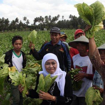 napas-rokok-dalam-revolusi-mental-jokowi
