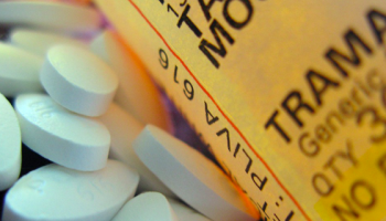 1_FWKwd5ZBPib8fAdsH-ttgg