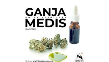ganja-medis-bagian-2
