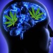 How-marijuana-benefits-mental-health-730×474