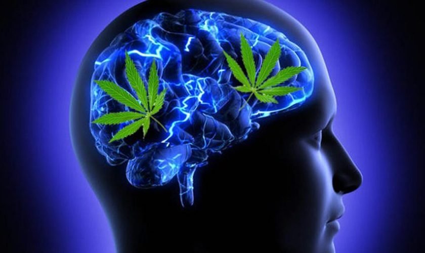 How-marijuana-benefits-mental-health-730×474