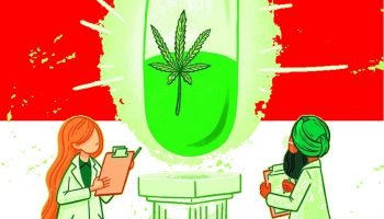 Ilustrasi Scientific American