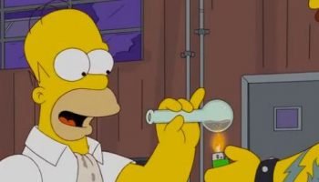 201111_simpsonsmeth.2e16d0ba.fill-661×496