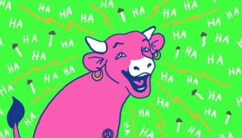 WhatsApp Image 2021-07-02 at 15.51.24