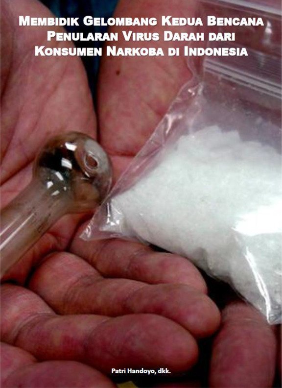 Book Cover: Membidik Gelombang Kedua Bencana Penularan Virus Darah dari Konsumen Narkoba di Indonesia