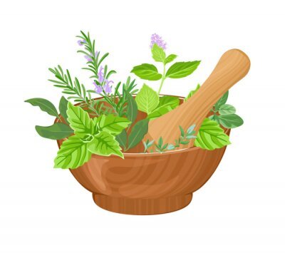 vector-mortar-pestle-and-fragrant-fresh-herbs-isolated-on-white-background-cartoon-flat-illustration-400-253566337